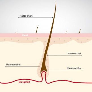 Haarpflege | Heidi Kolbitsch | Channoine Partner | Gesund und Schön Coach Spittal